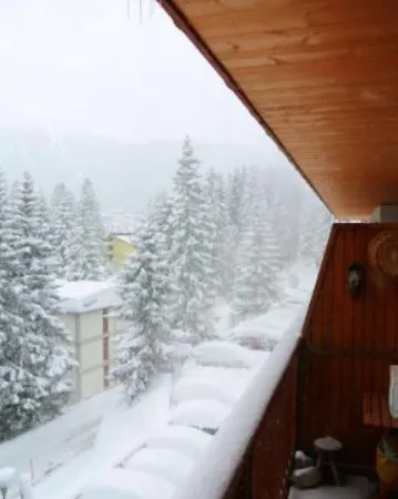 Apartment Elena - M. Di Campiglio